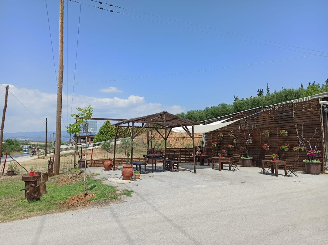 Vagio Agrofarms景点图片