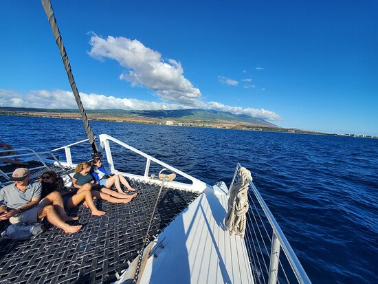 Sail Maui景点图片