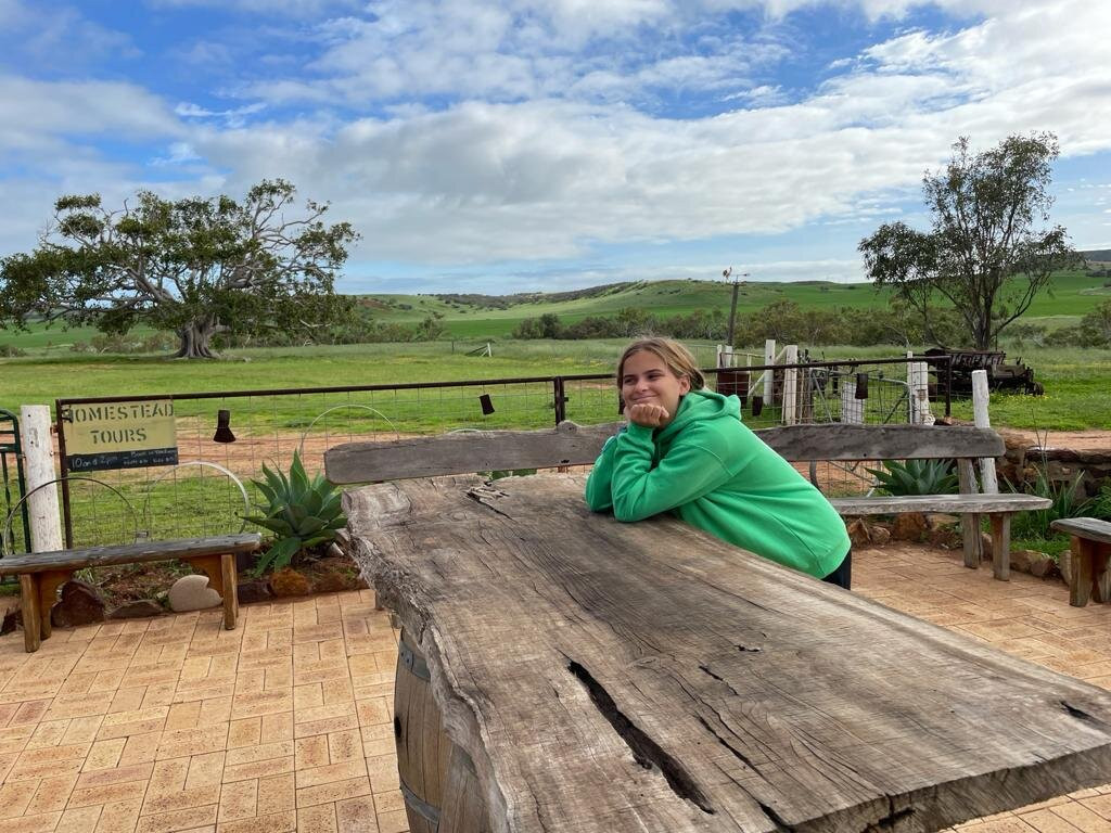 Oakabella Homestead, Tea Rooms and Campground-Bowes必去景点