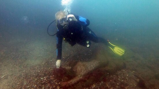 Diving Center Sozopol景点图片