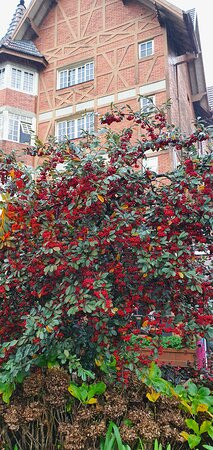 Praca Major Nicoletti-格拉玛多必去景点