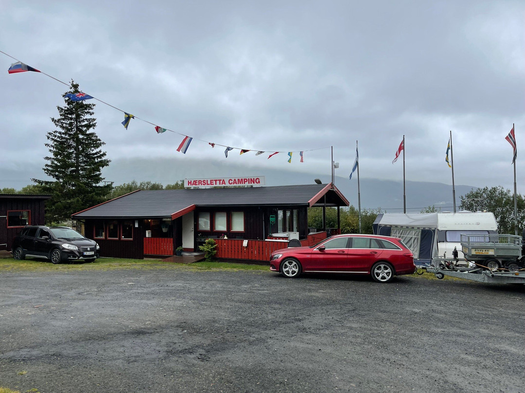 Narvik Hærsletta Camping