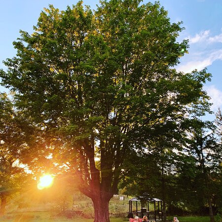 Harlem Stonegate B&B主图