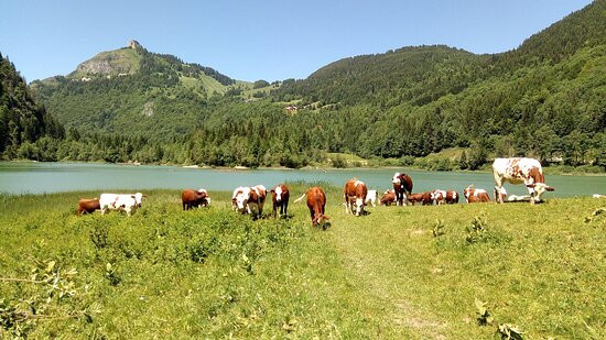 Office de Tourisme des Alpes du Leman景点图片