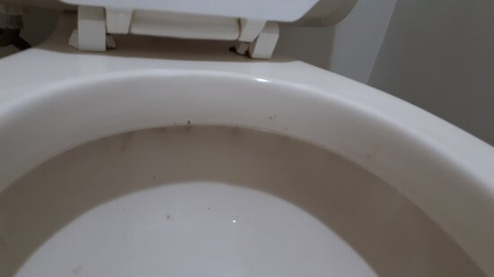 Super 8 by Wyndham Kirkland Lake主图