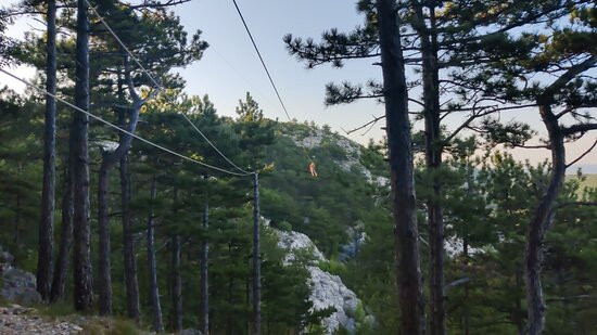 Zipline Edison景点图片