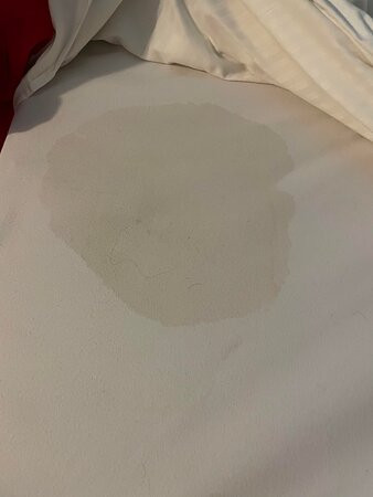 Geyserville Inn主图