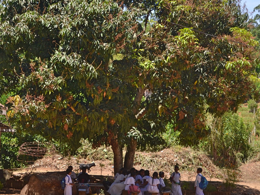 Divurumpola-Welimada必去景点