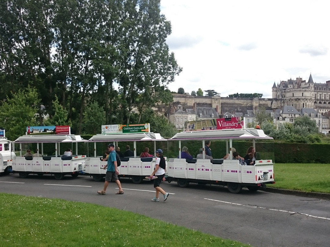 Petit Train Touristique d'Amboise景点图片