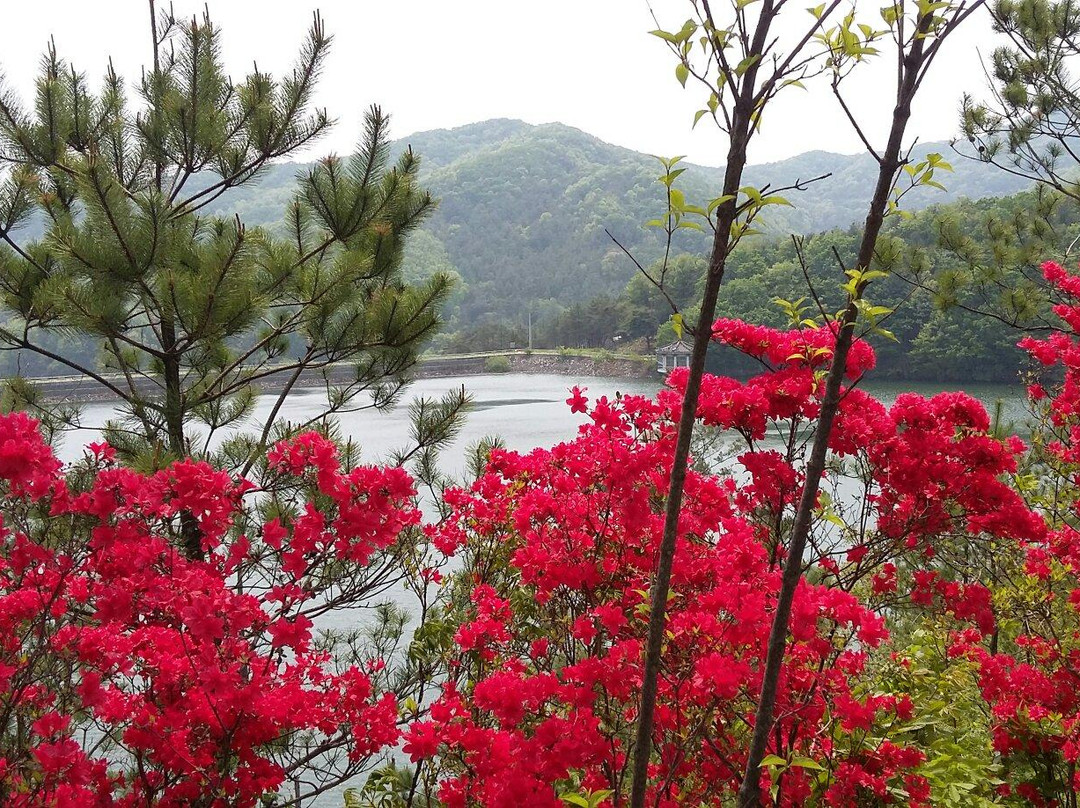 青阳郡旅游景点-Chilgapsan Jangseung Park