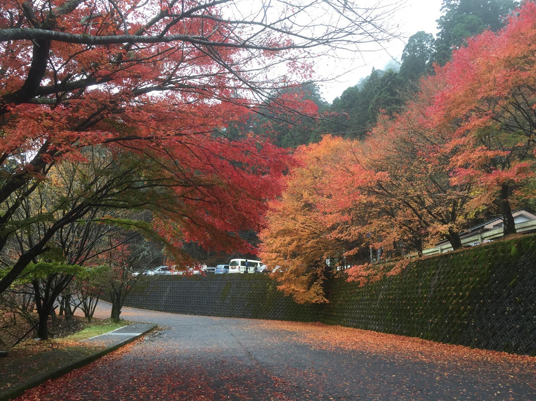 添田町旅游攻略图片