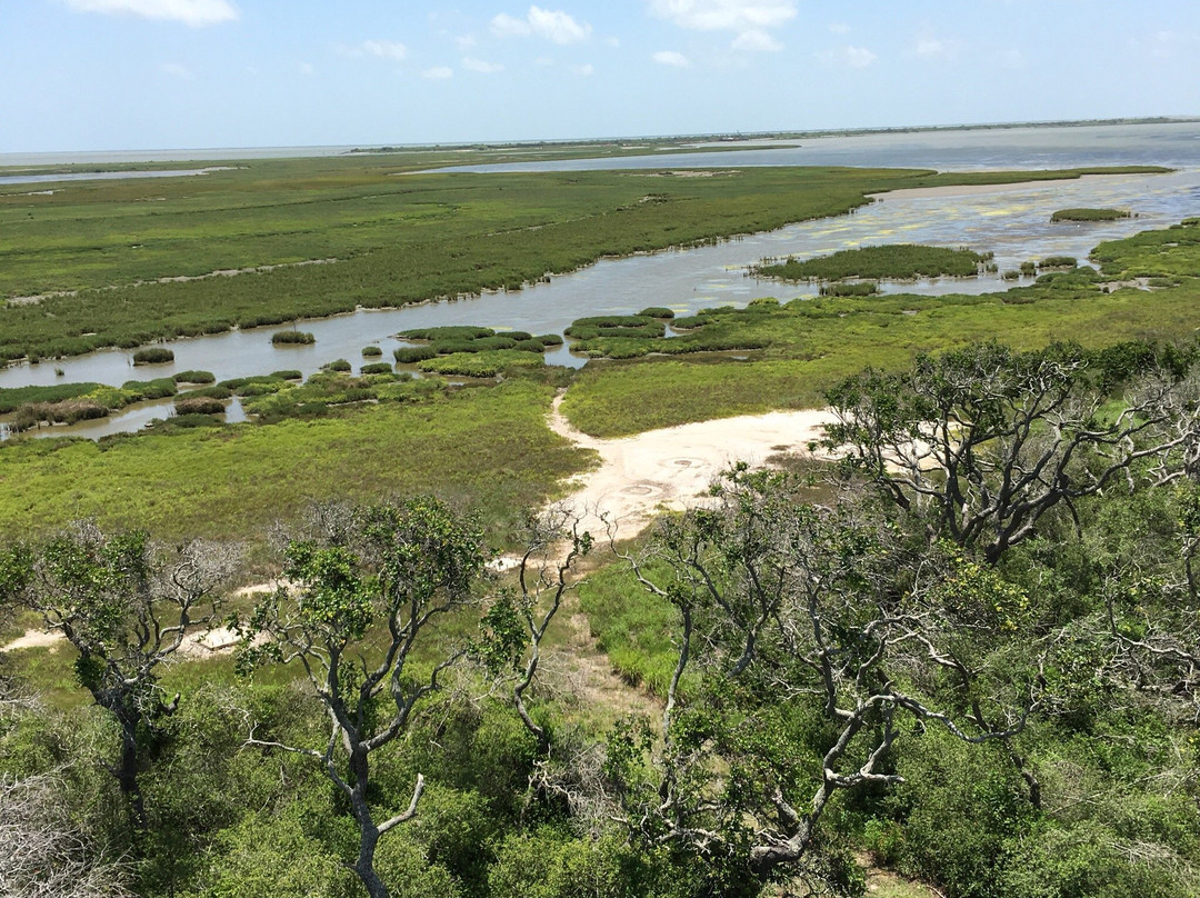 Aransas National Wildlife Refuge景点图片