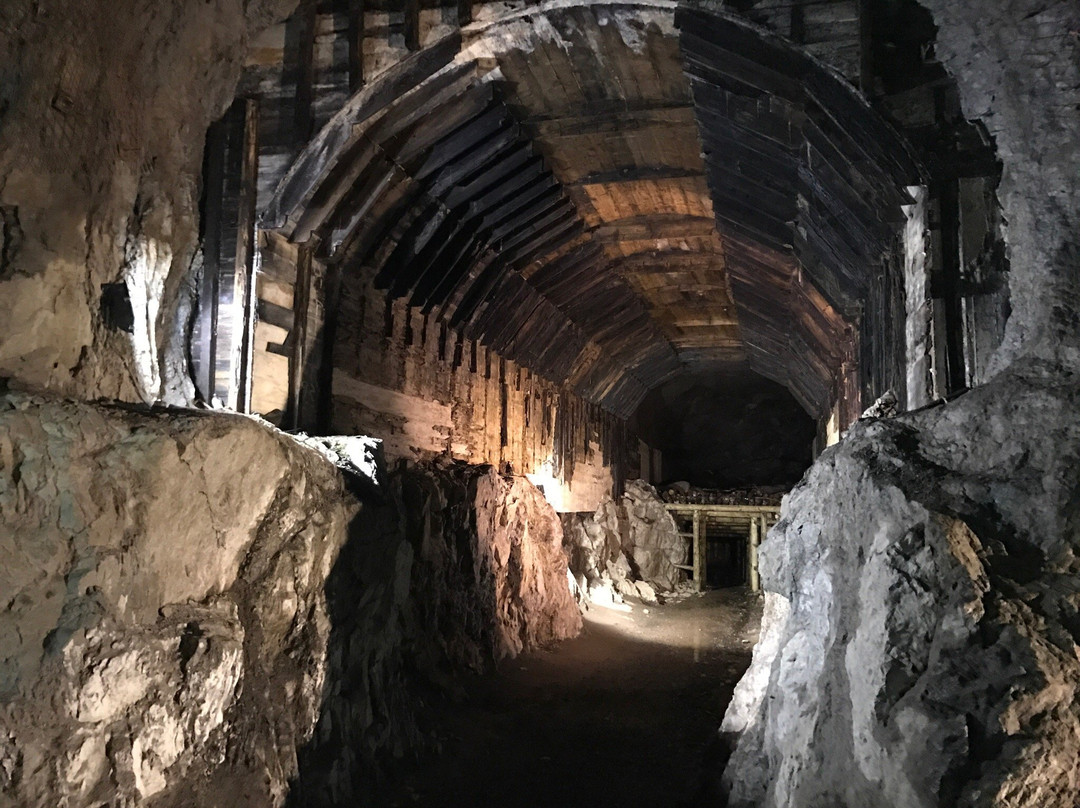 Gluszyca旅游攻略图片