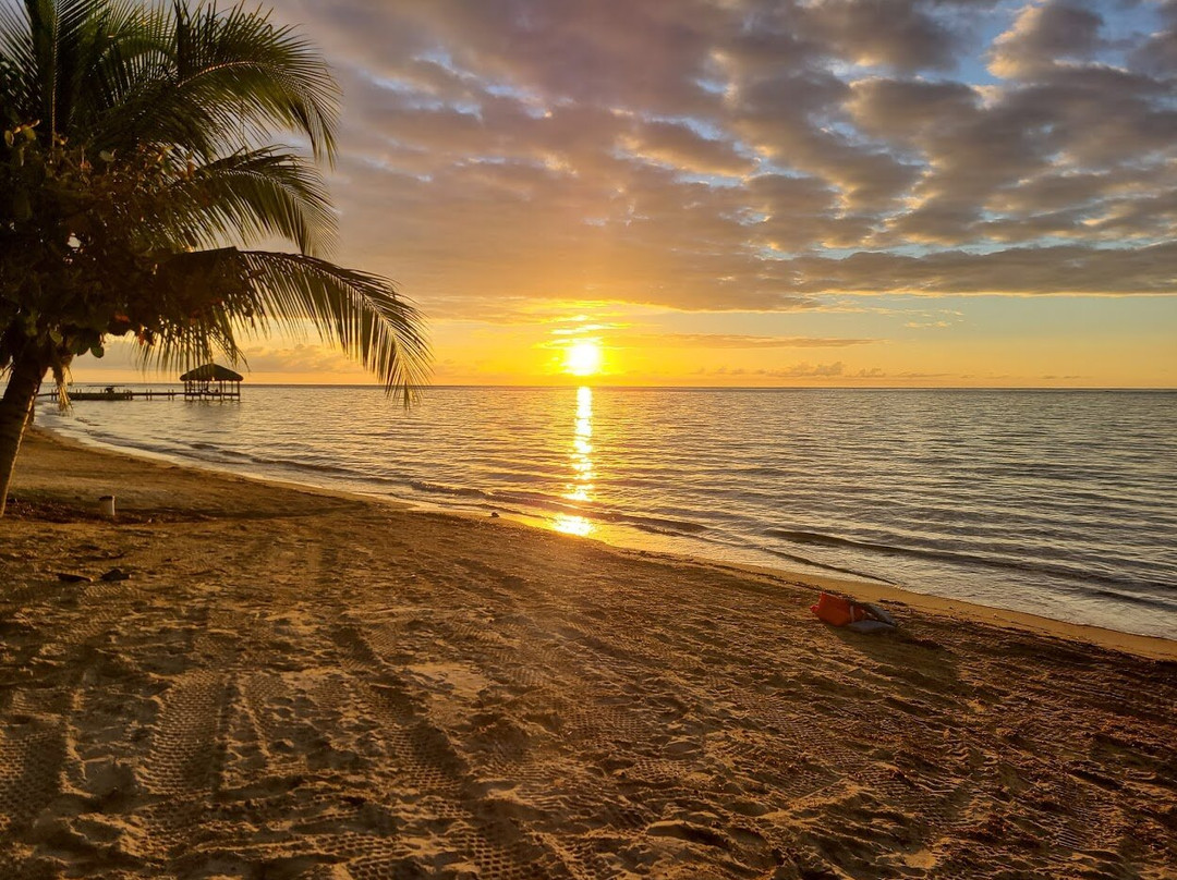 海龟湾潜水度假村主图
