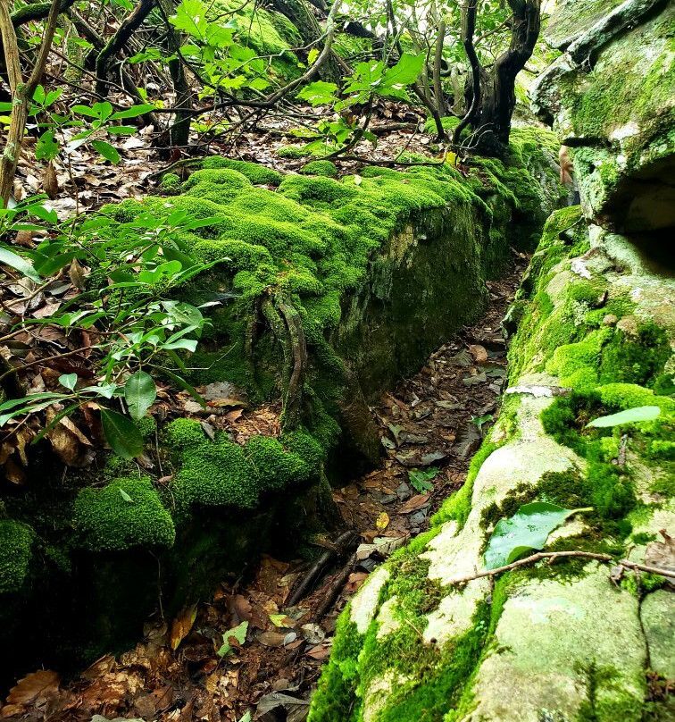 Rocktown Trail景点图片