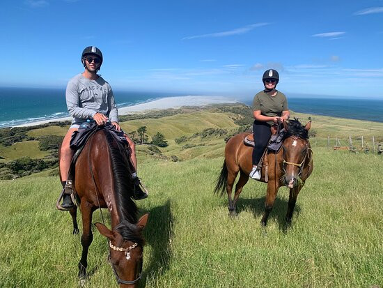 Cape Farewell Horse Treks景点图片