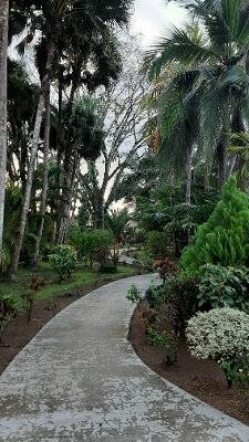La Foresta Nature Resort-餐饮