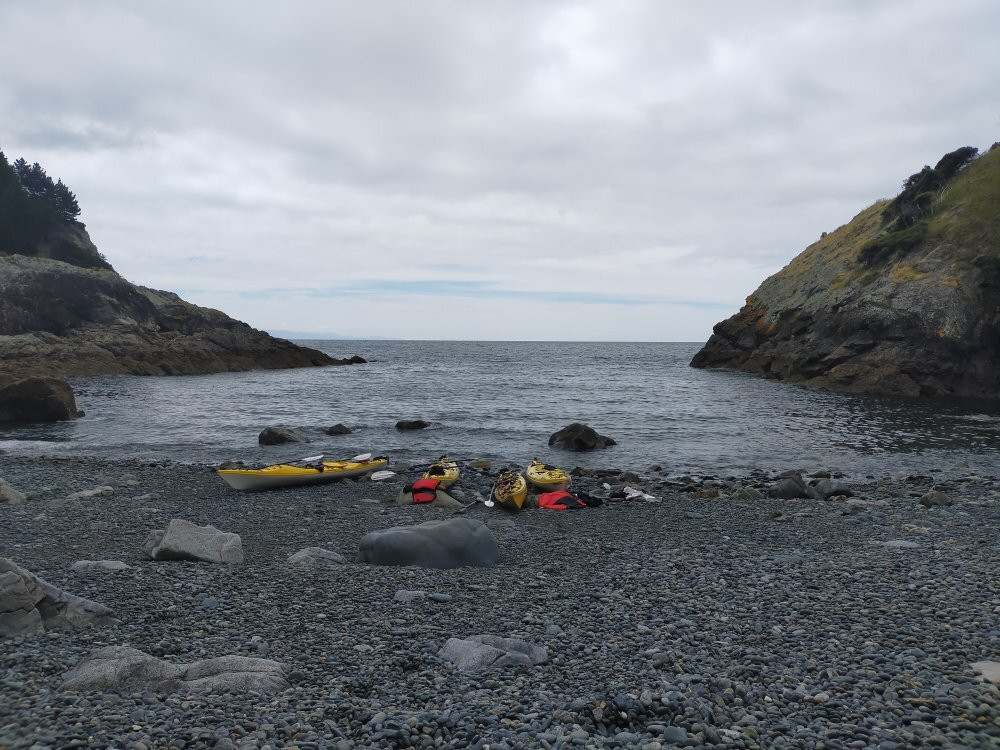 Cable Bay Kayaks-尼尔森必去景点