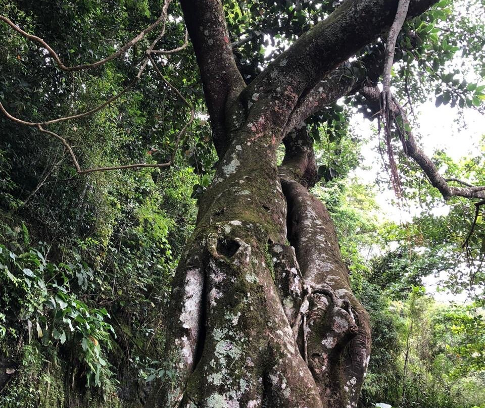 Mirante das canoas-里约热内卢必去景点