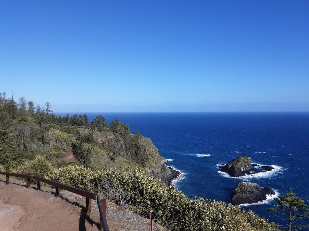 Norfolk Island National Park & Botanic Garden景点图片