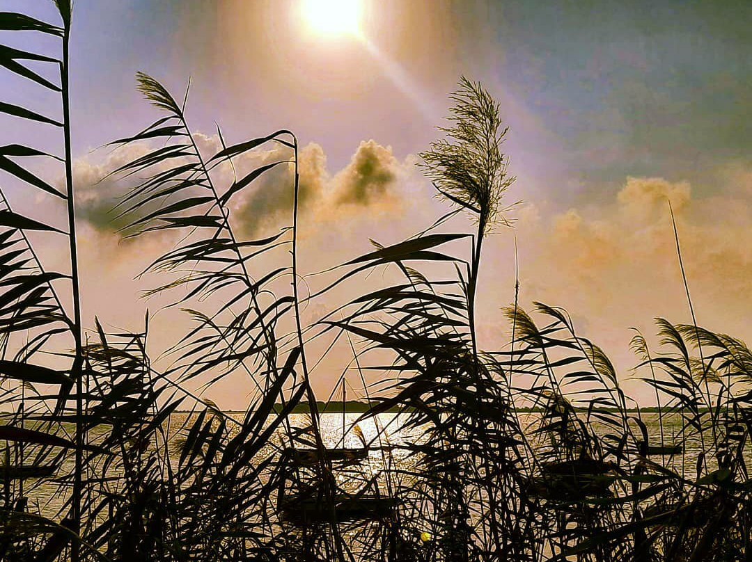 Laguna dei Fenici主图