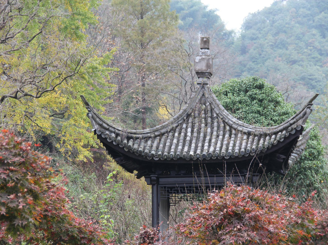 余姚市旅游景点-浙江四明山