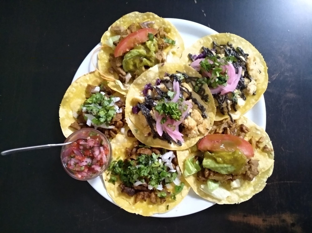 Restaurante Levante Comida Mexicana主图