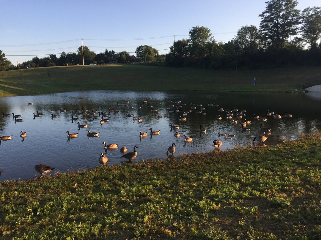 Westminster Community Pond