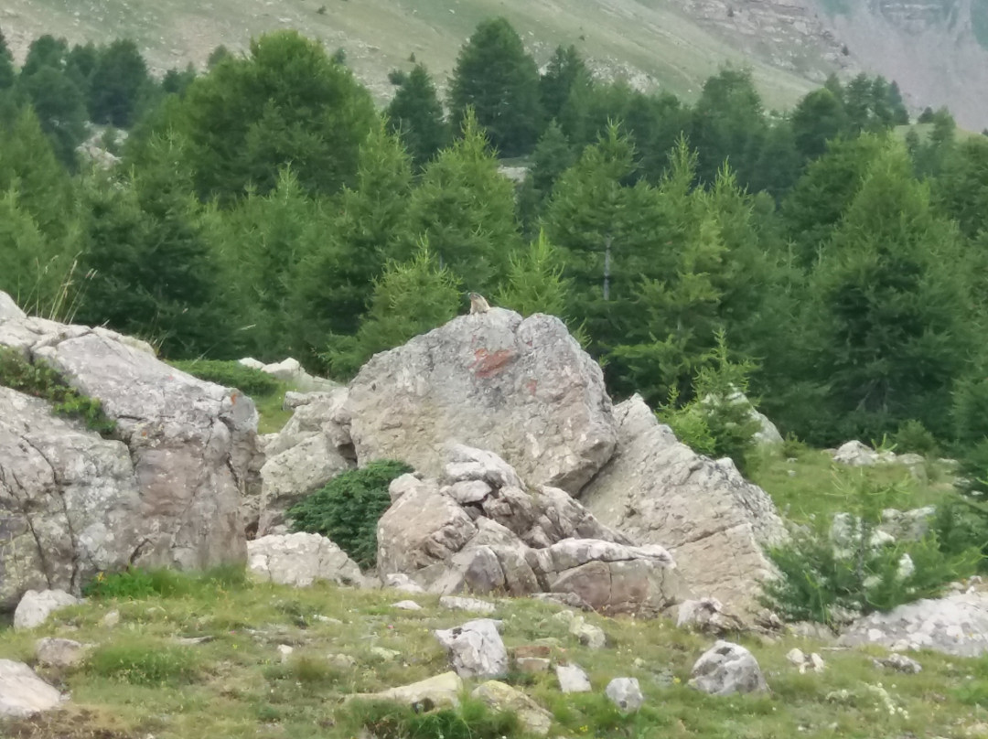 Guillestre旅游攻略图片
