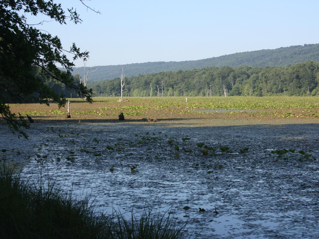 Sleepy Creek Wildlife Management Area-Hedgesville必去景点