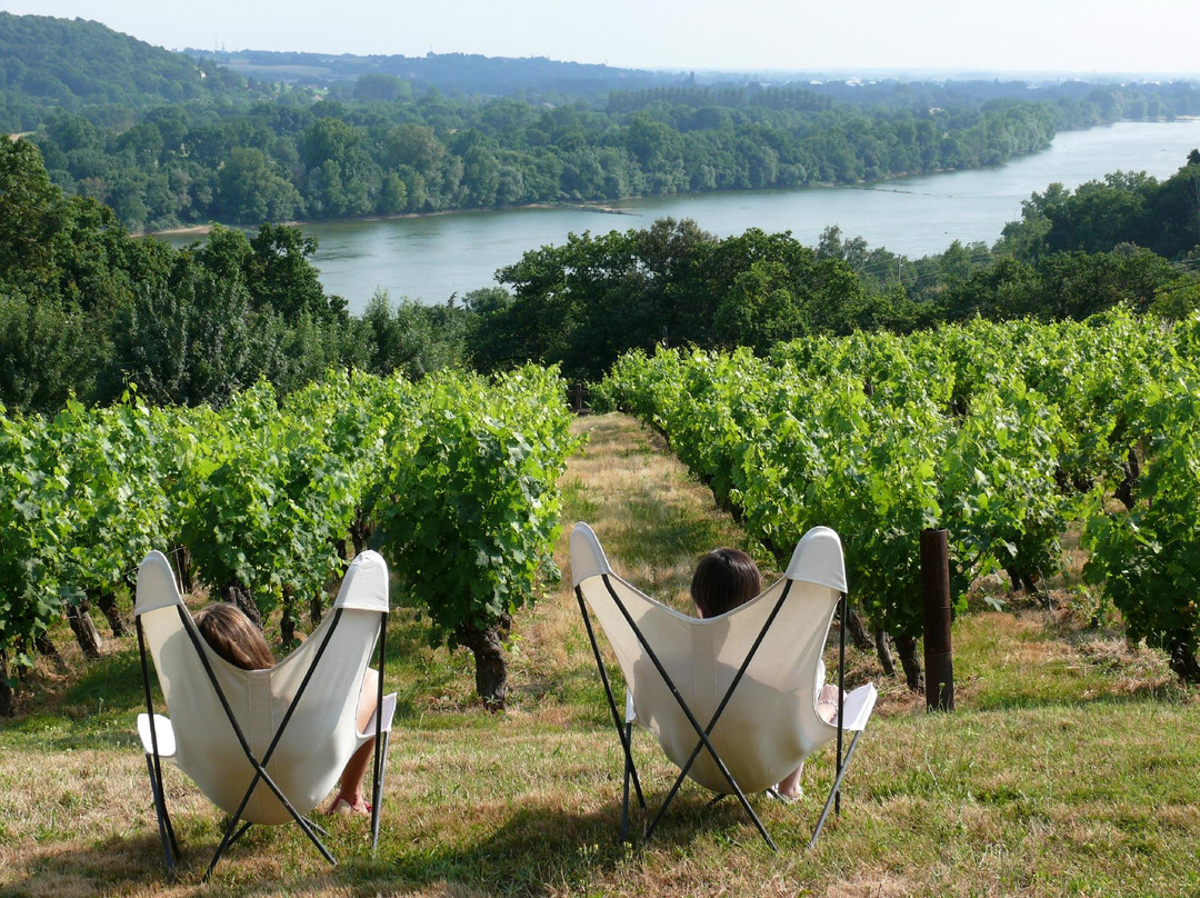 Le Cellier旅游攻略图片