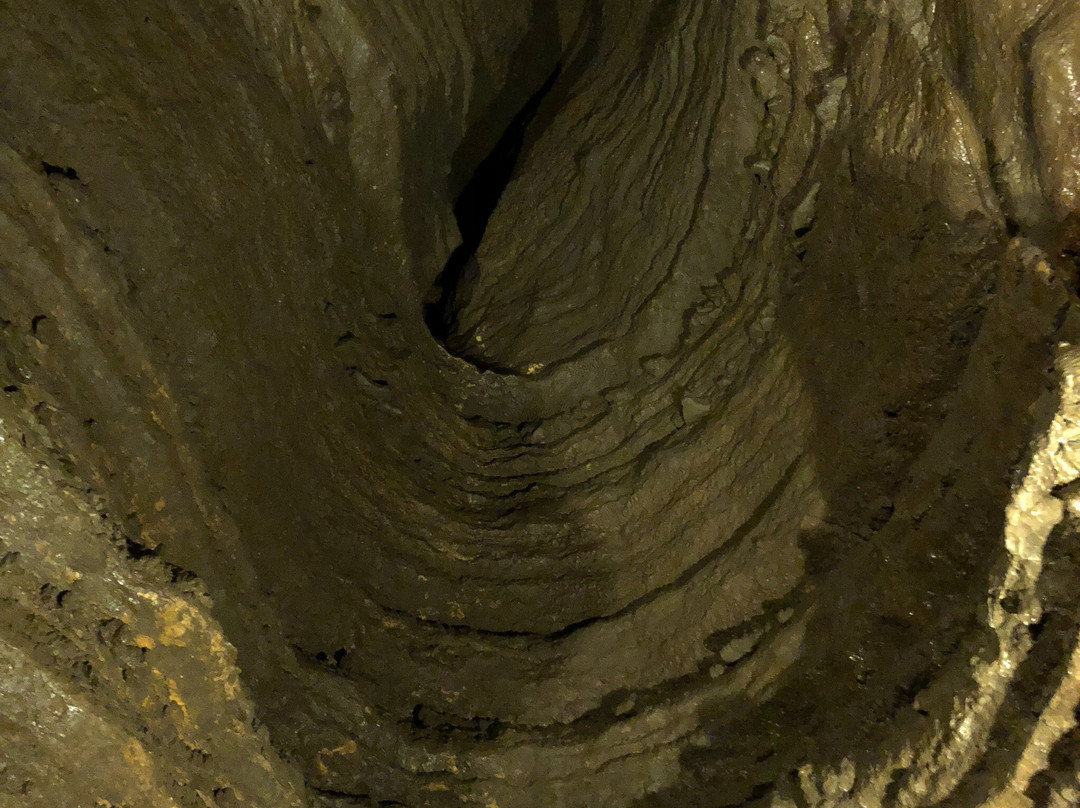 Harmony旅游攻略图片