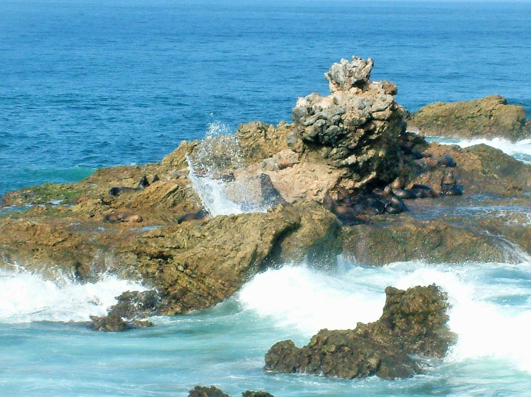 Punta Blanca旅游攻略图片