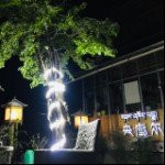 央廓尔藏家乐主图