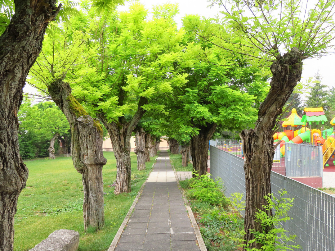 Villa Comunale o Monumento ai Caduti景点图片