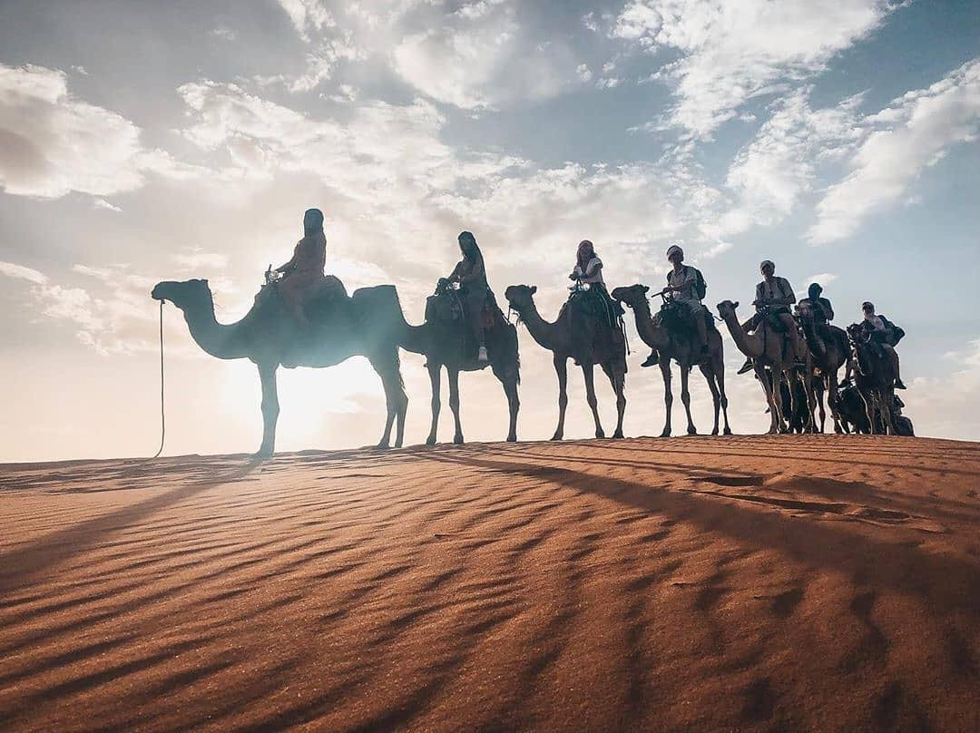 Morocco Life Tours-非斯必去景点