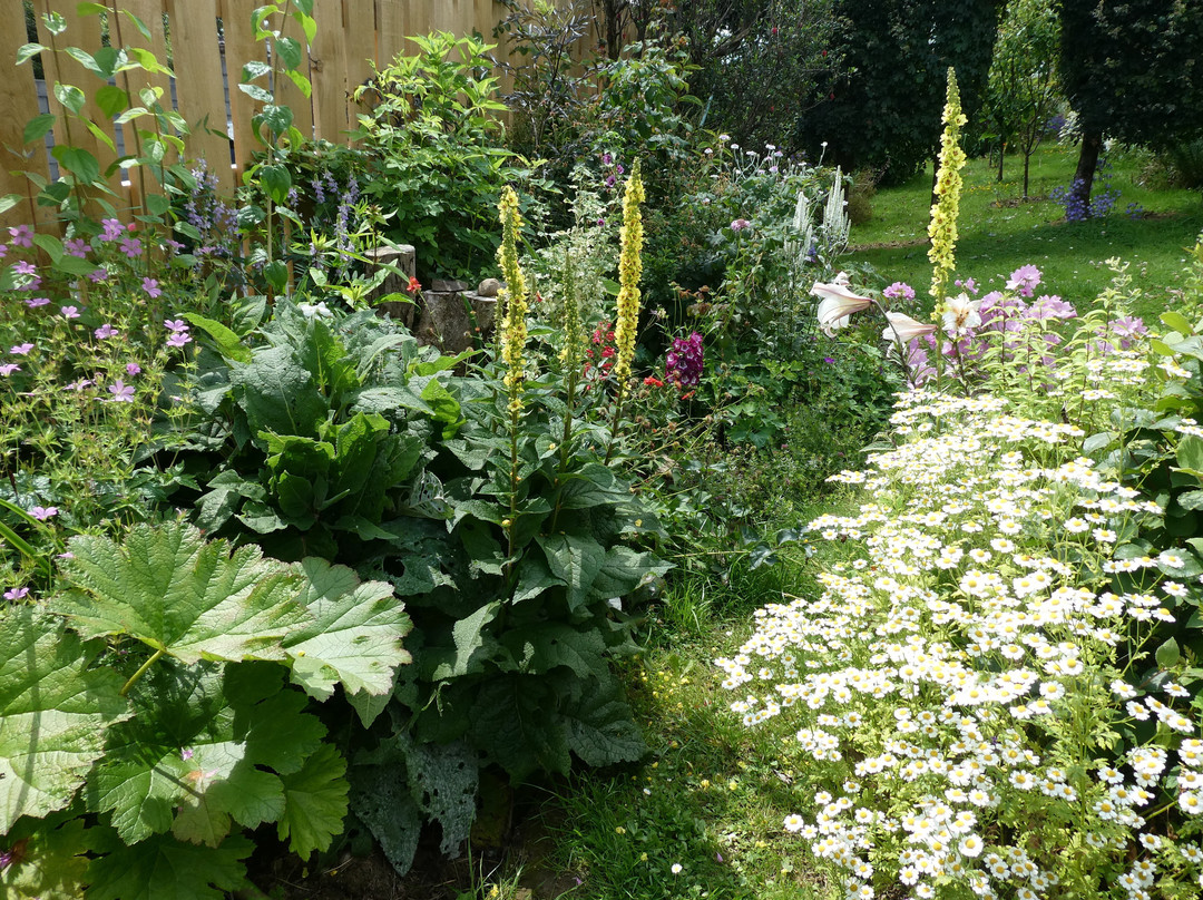 Carrie's Garden景点图片