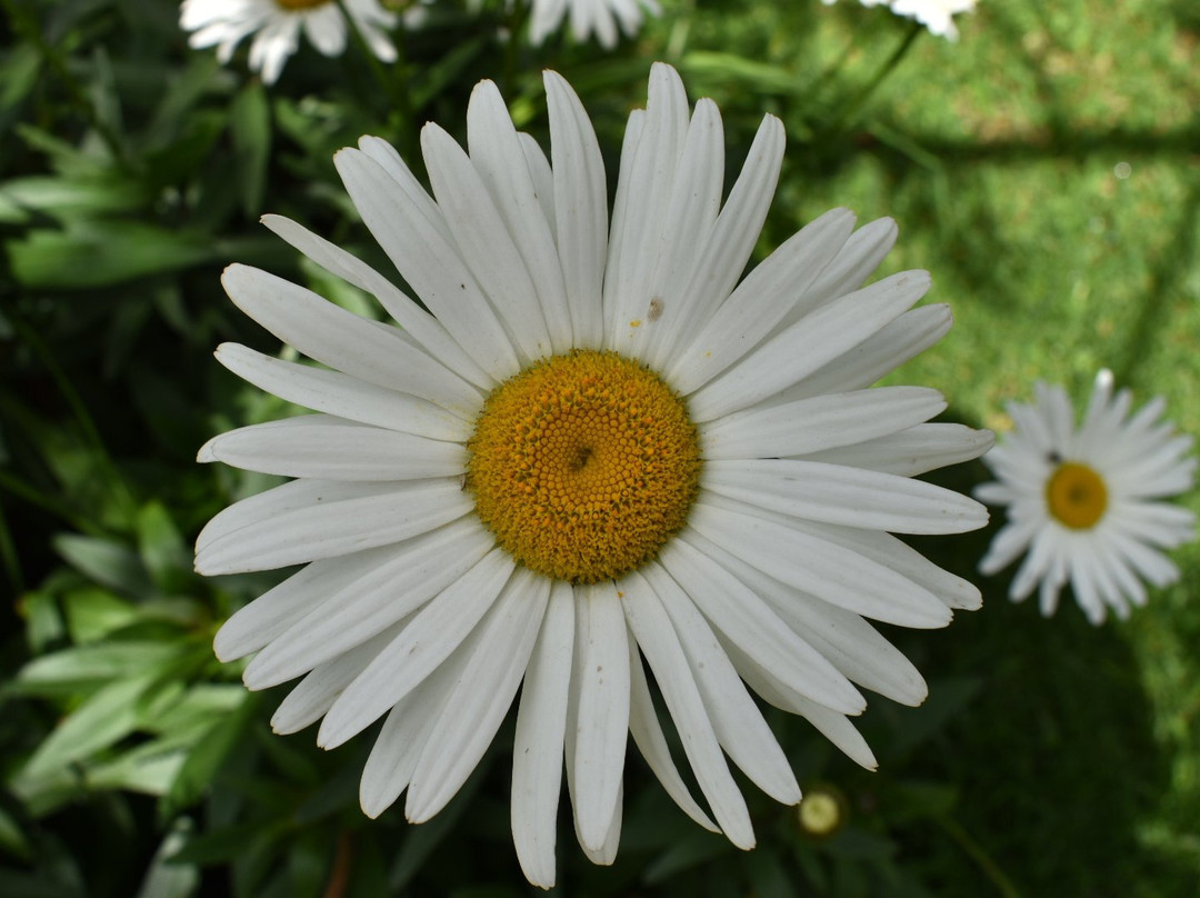 Pifo旅游攻略图片