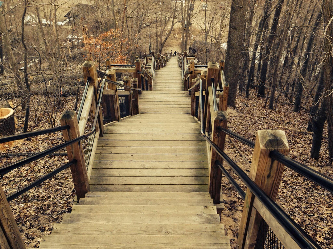 Mount Baldhead Park景点图片