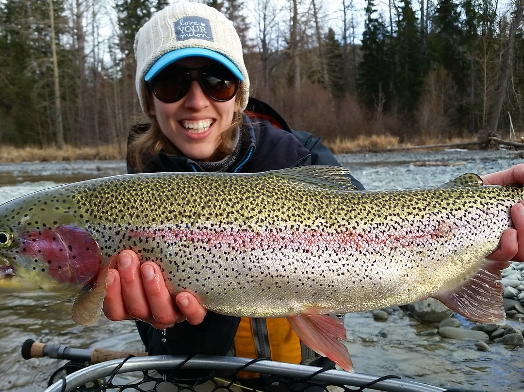 Kenai River Recon-基奈必去景点