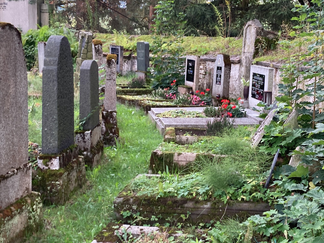 Friedhof Hřbitov Arnoltice景点图片