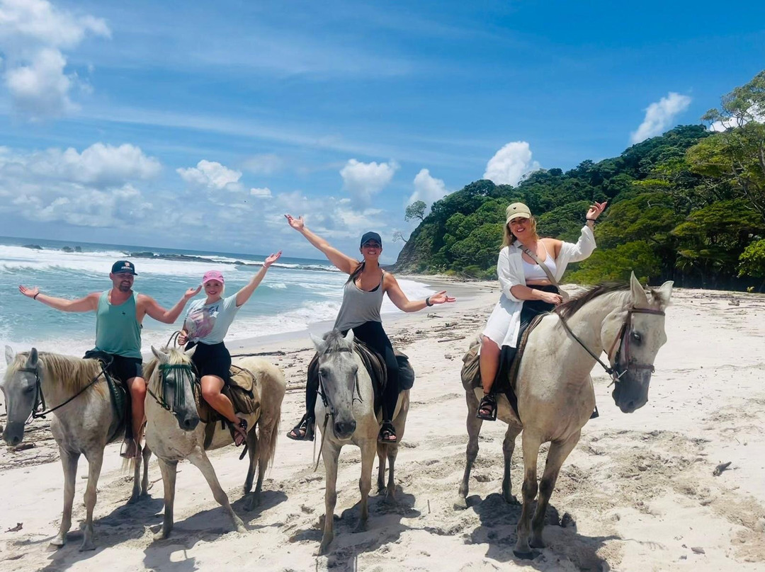 Horse Jungle-萨玛拉滩必去景点