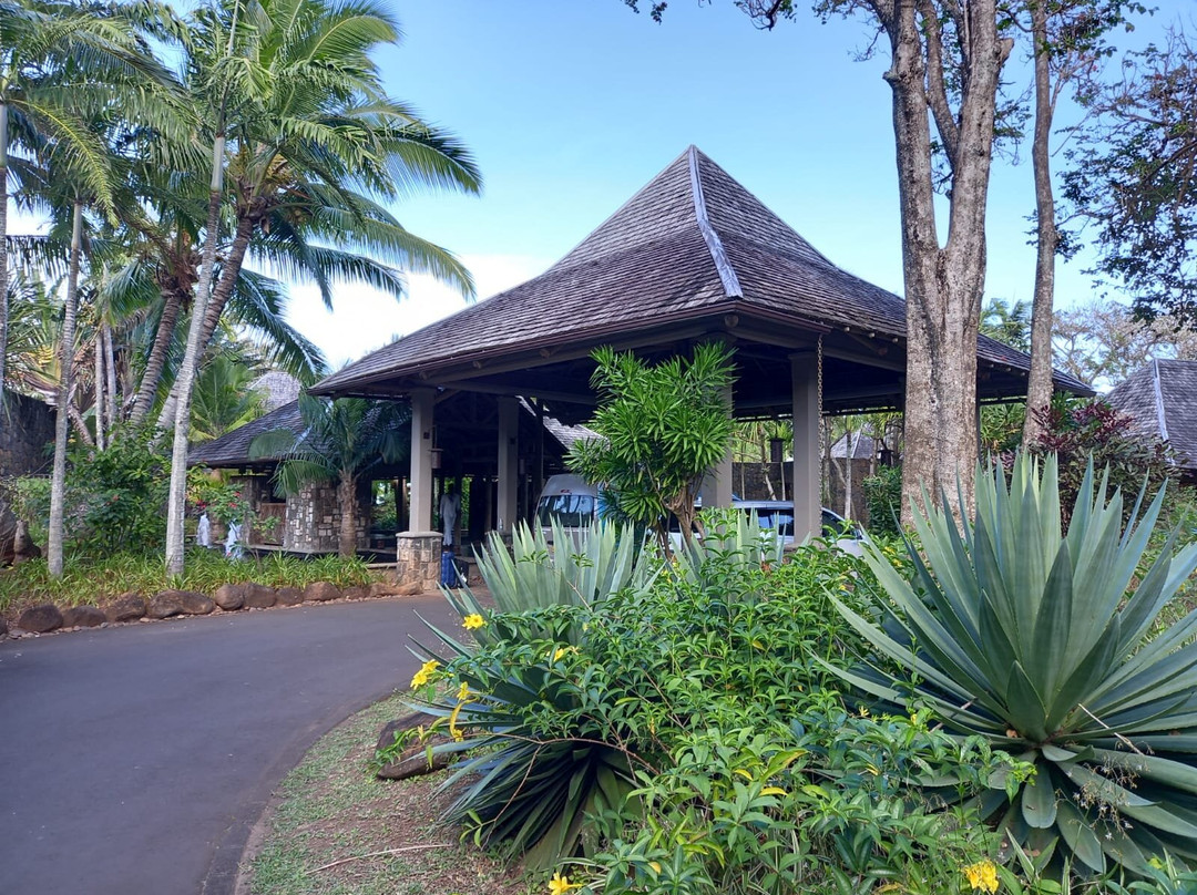 Mauritius Taxis Transfer