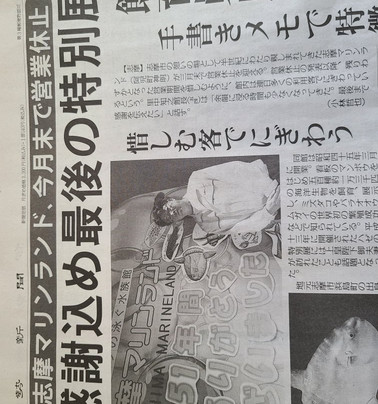 志摩海洋世界水族馆-志摩市必去景点