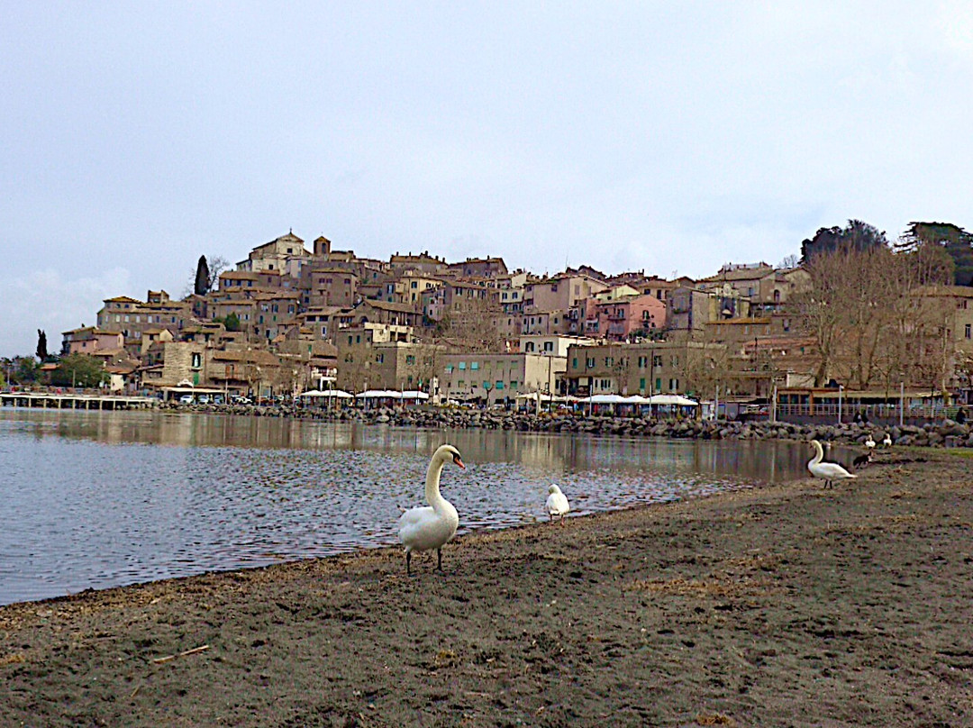 Porta Maggiore o di Castello-Anguillara Sabazia必去景点