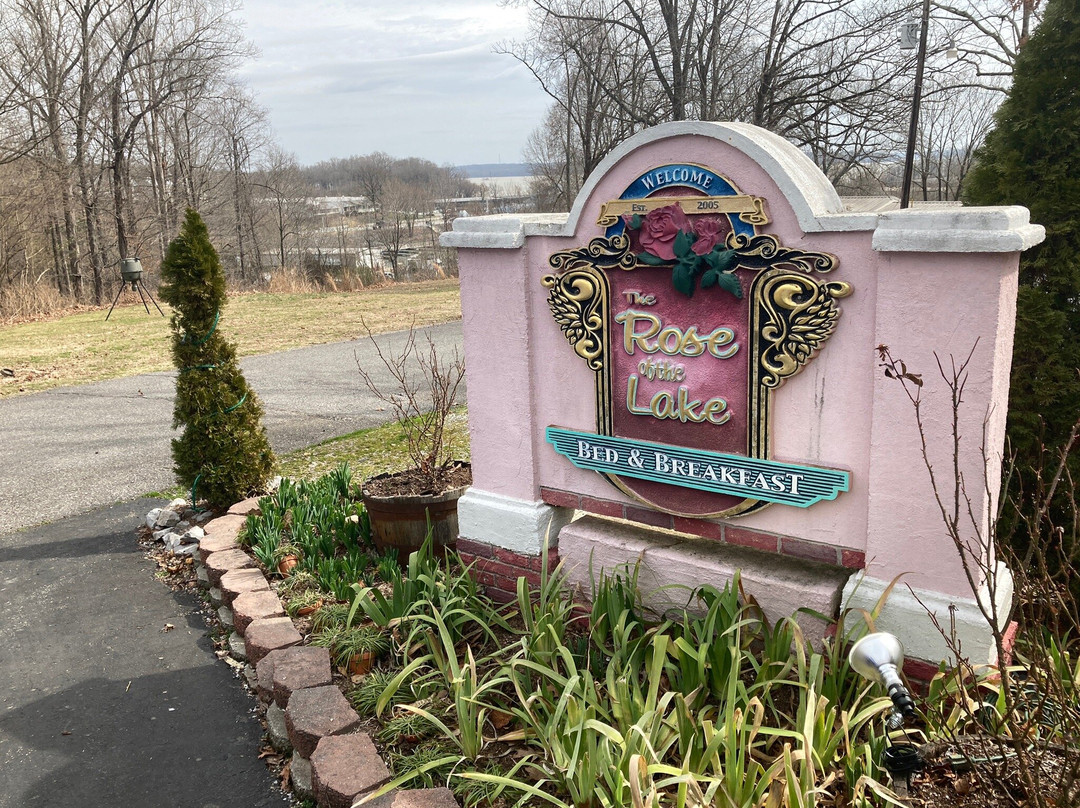 The Rose of the Lake主图