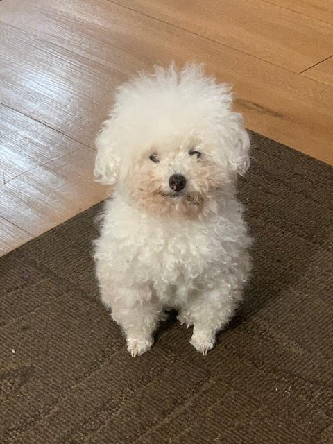 Red Roof Plus & Suites Opelika主图