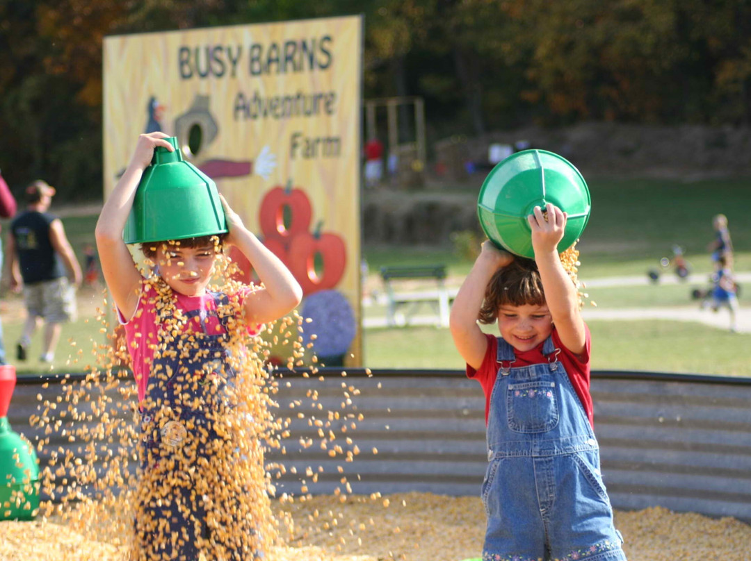 Busy Barns Adventure Farm-Fort Atkinson必去景点