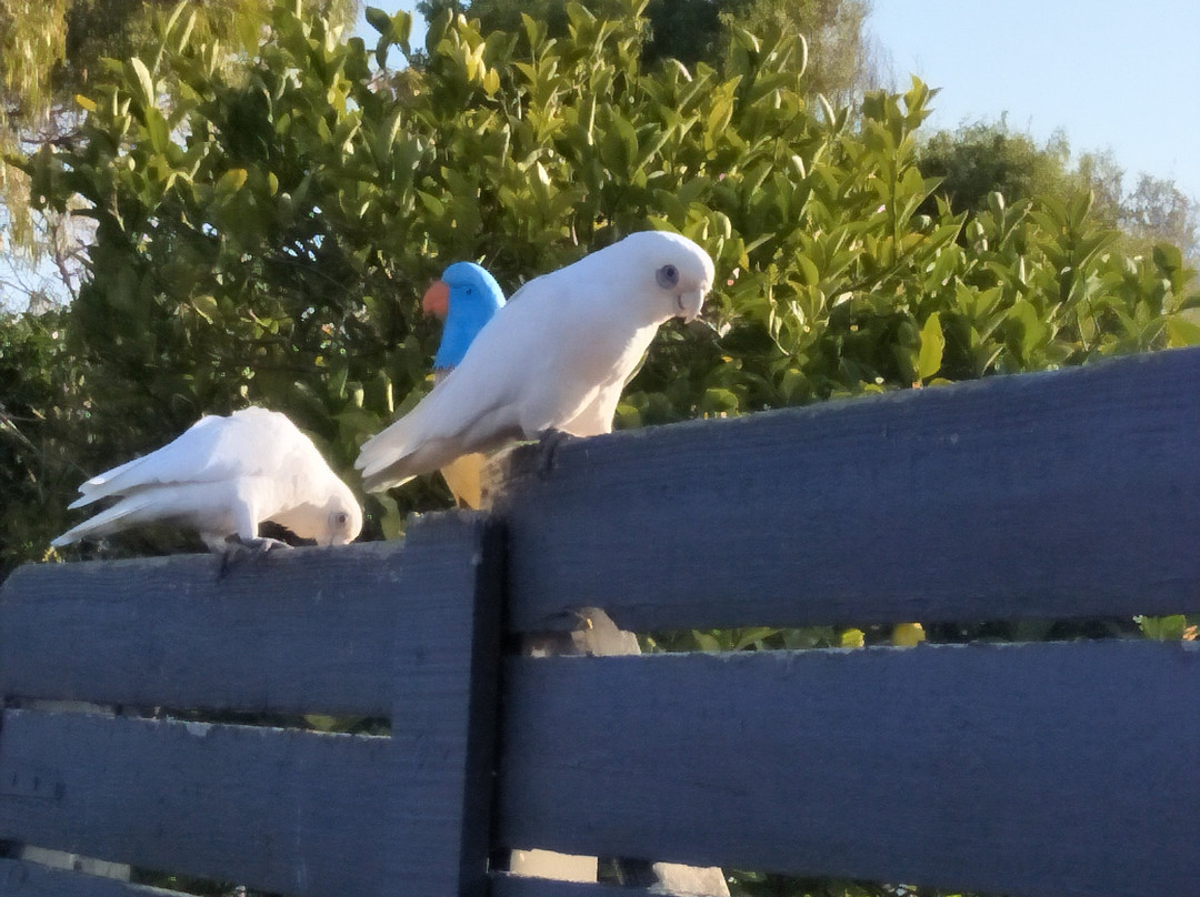 马伦戈汽车旅馆主图