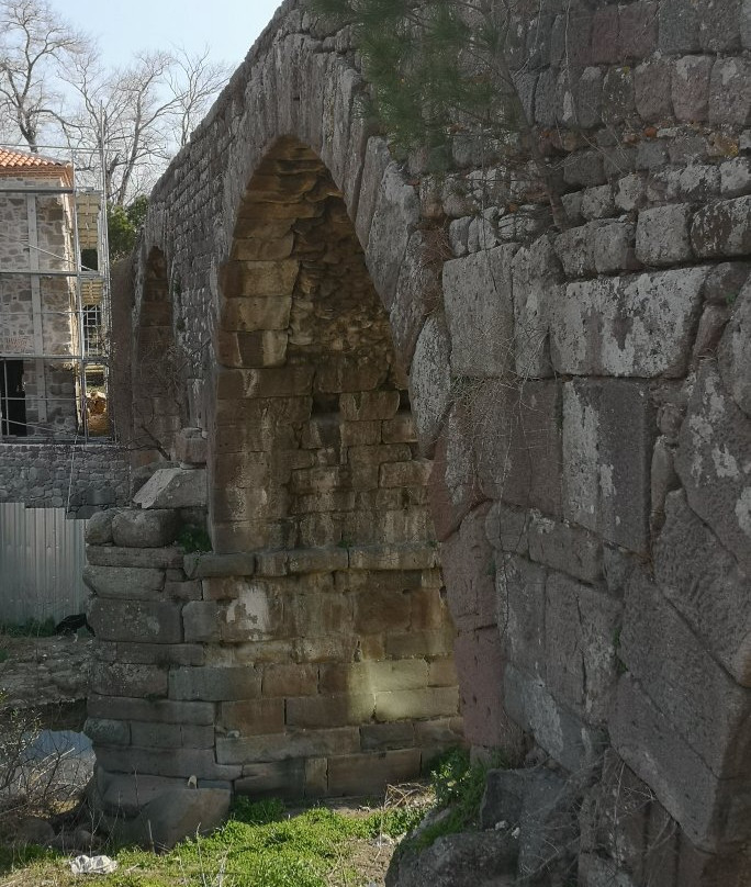 Izmir Bergama Museum景点图片